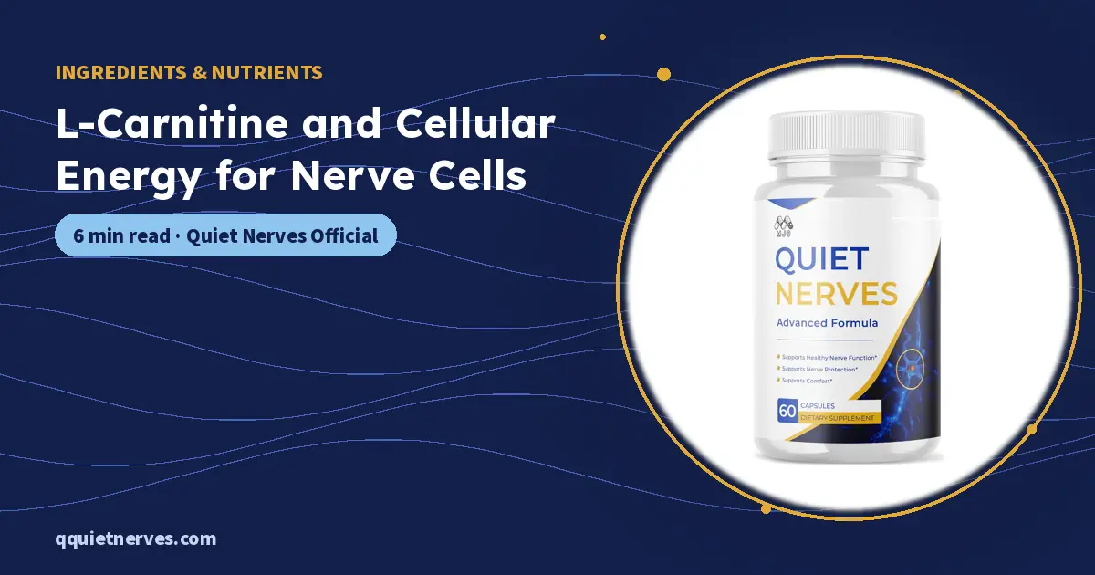 L-Carnitine and Cellular Energy for Nerve Cells